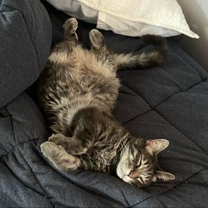 Meet your Posher, Brooklyn